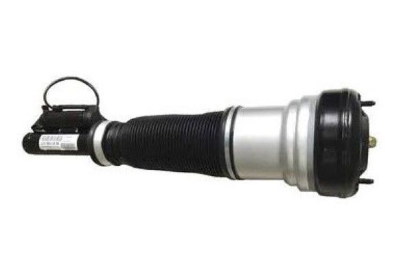 Picture for category Airbag Suspension Struts