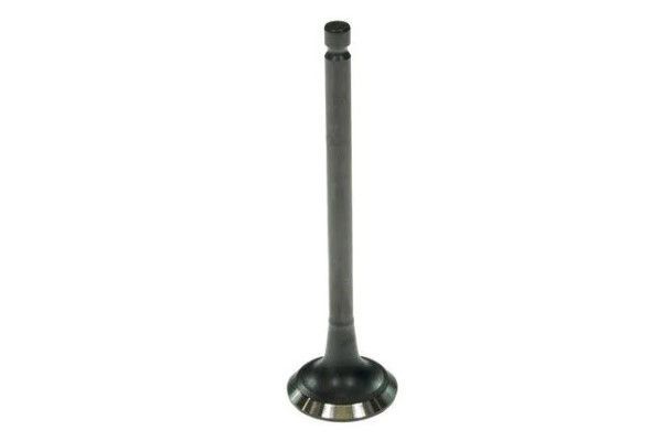 Picture for category Exhaust Valve