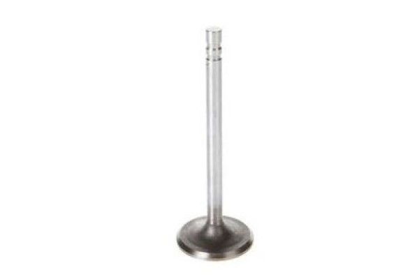 Picture for category Intake Valve