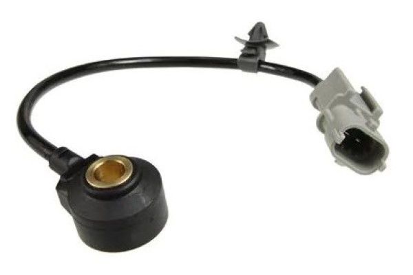 Picture for category Knock Sensors