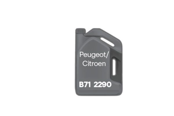 Picture for category PSA B71 2290 Engine Oils