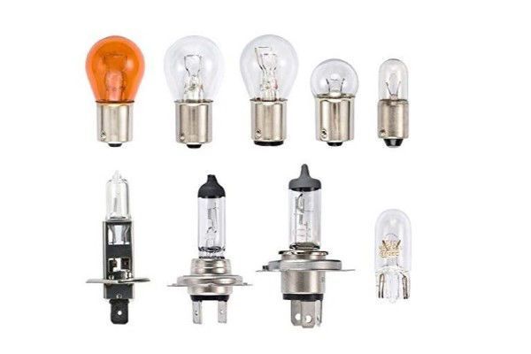 Picture for category Browse All Bulbs by Type